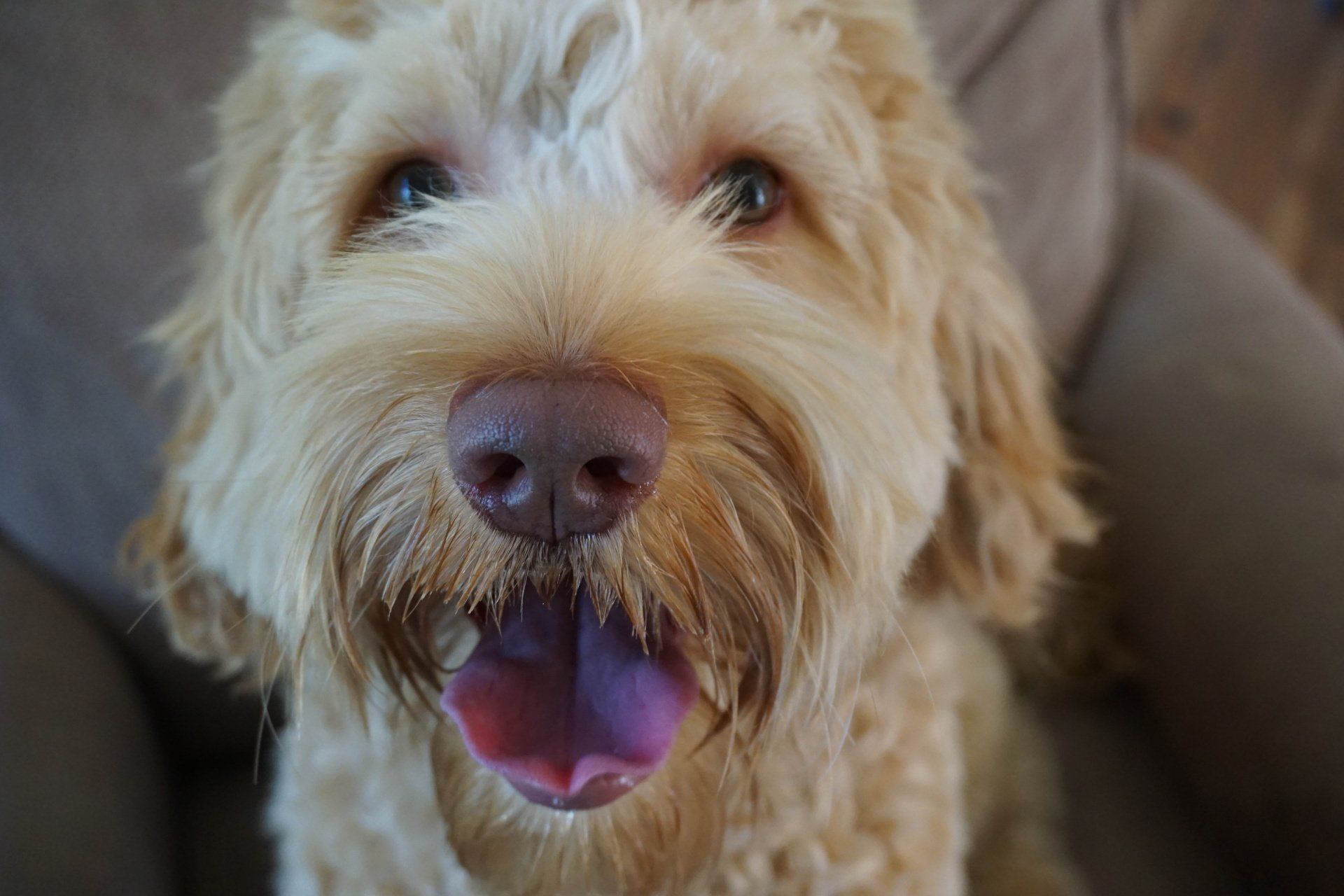 retired jon snow close-up