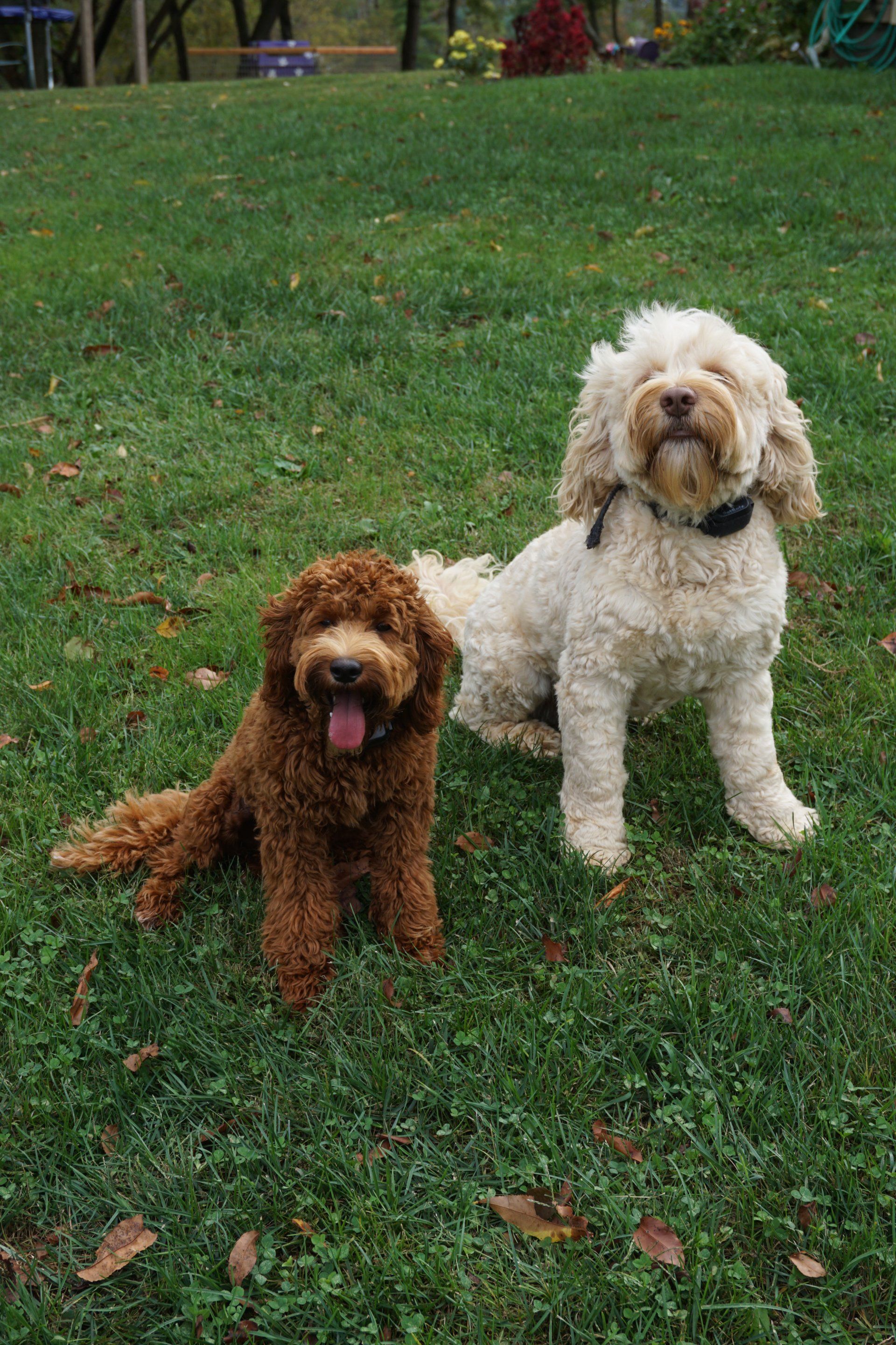 red jamie with friend