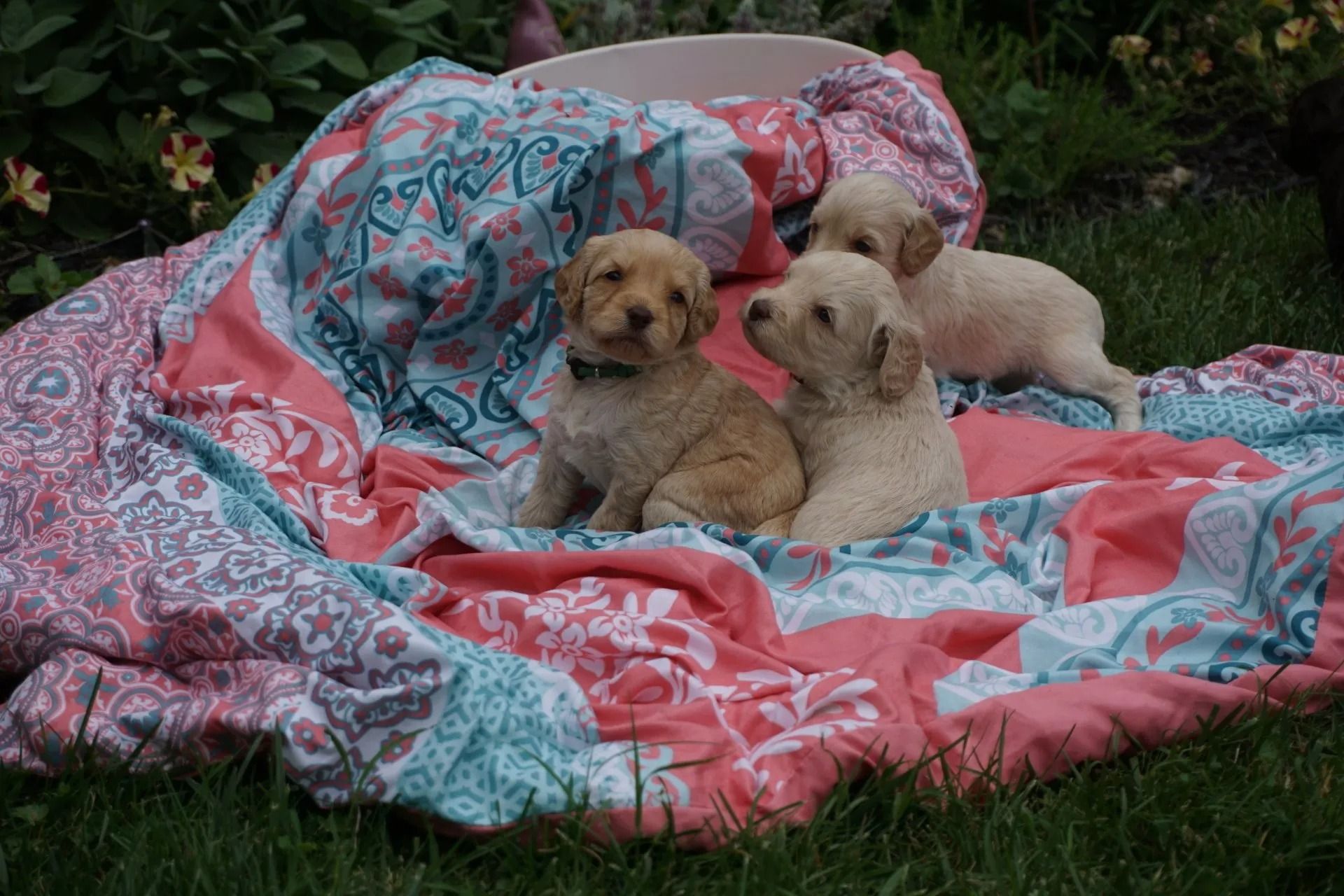 Gertrude and Jon Snow