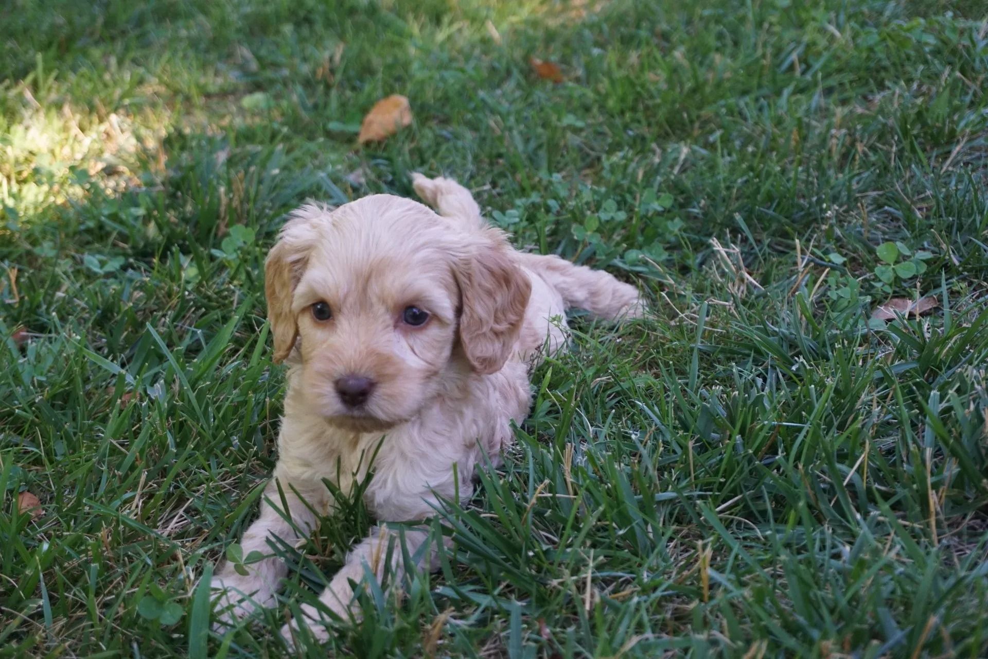 Gertrude and Jon Snow