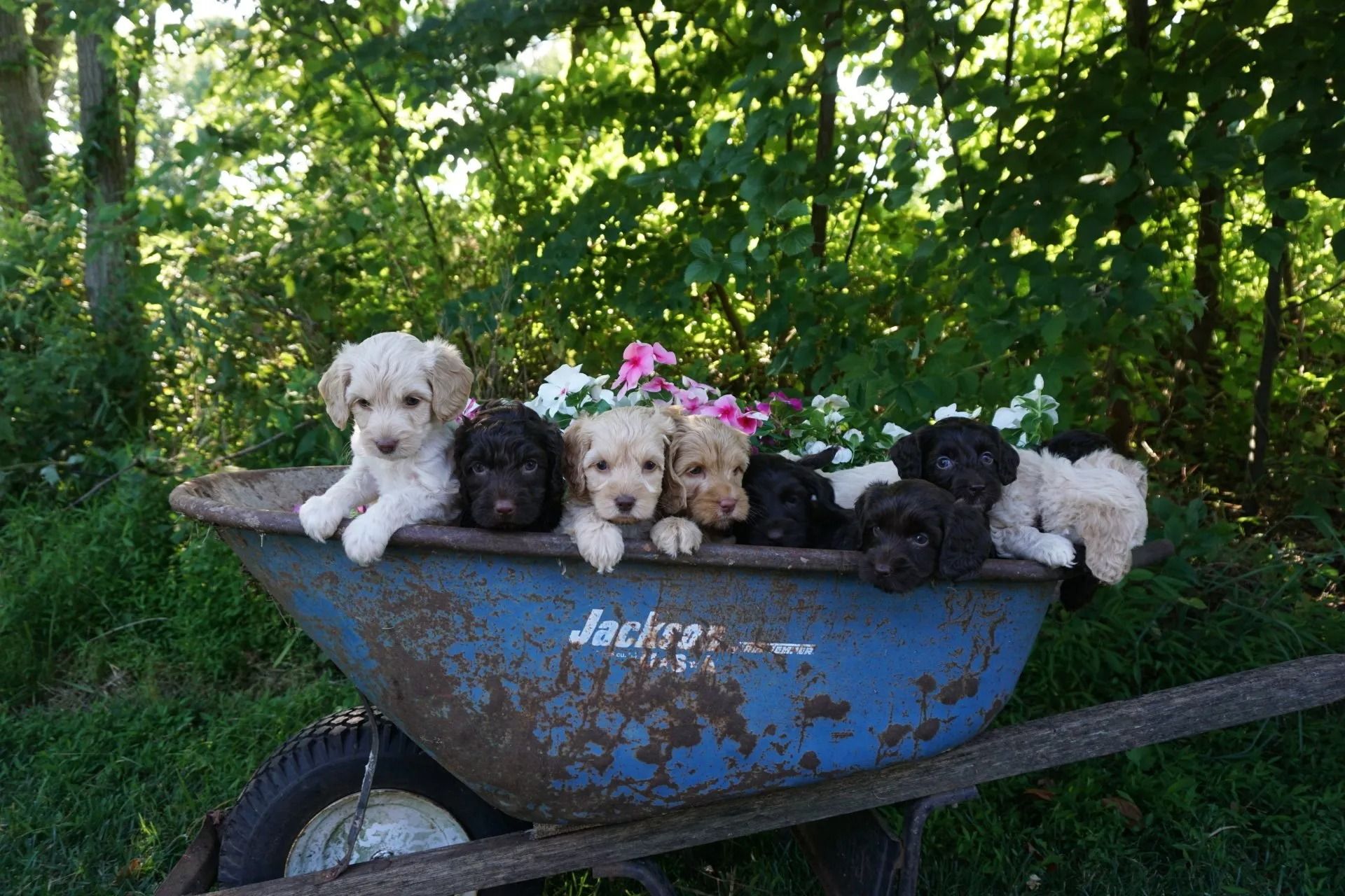 Gertrude and Jon Snow