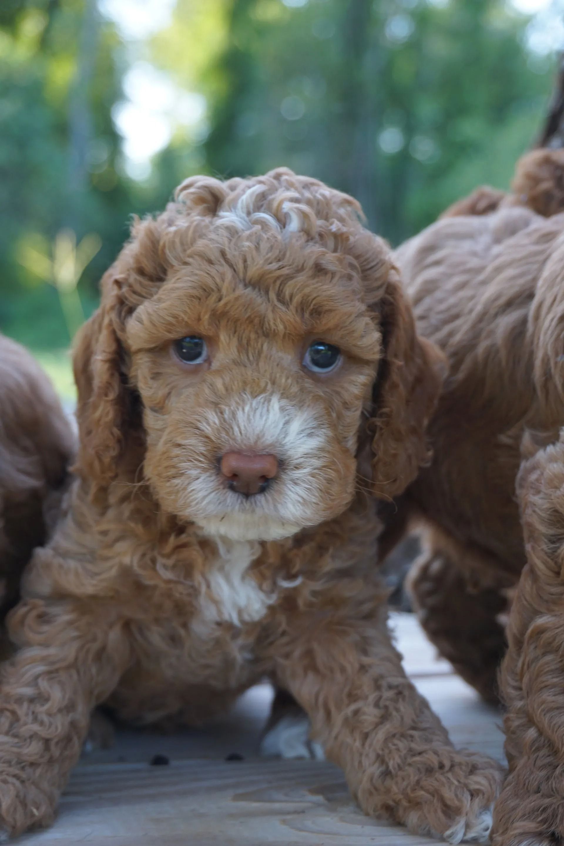 Sunny and Jaime 2020