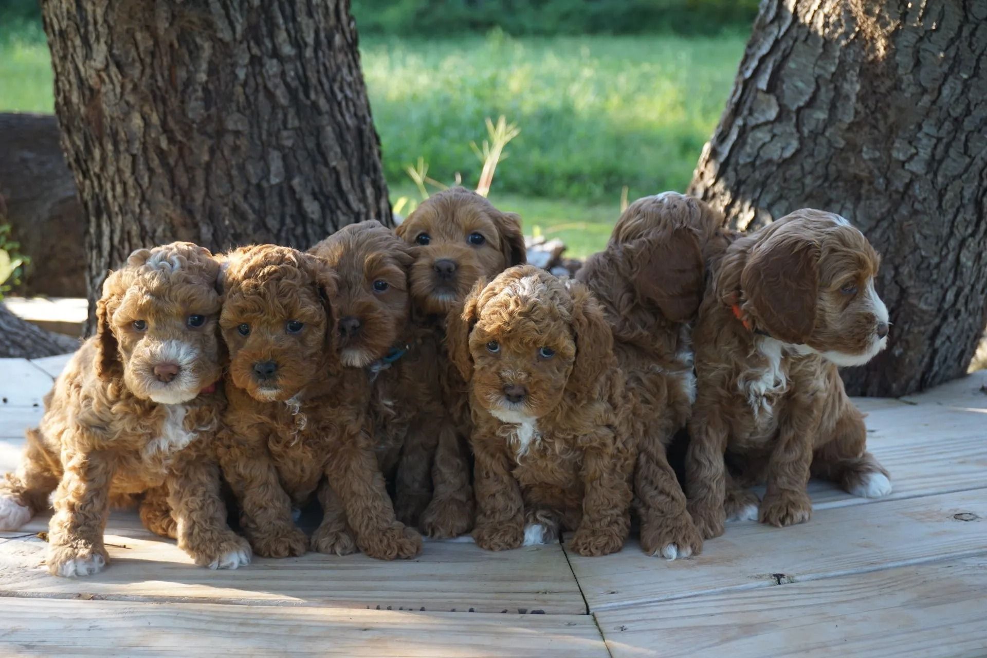 Sunny and Jaime 2020