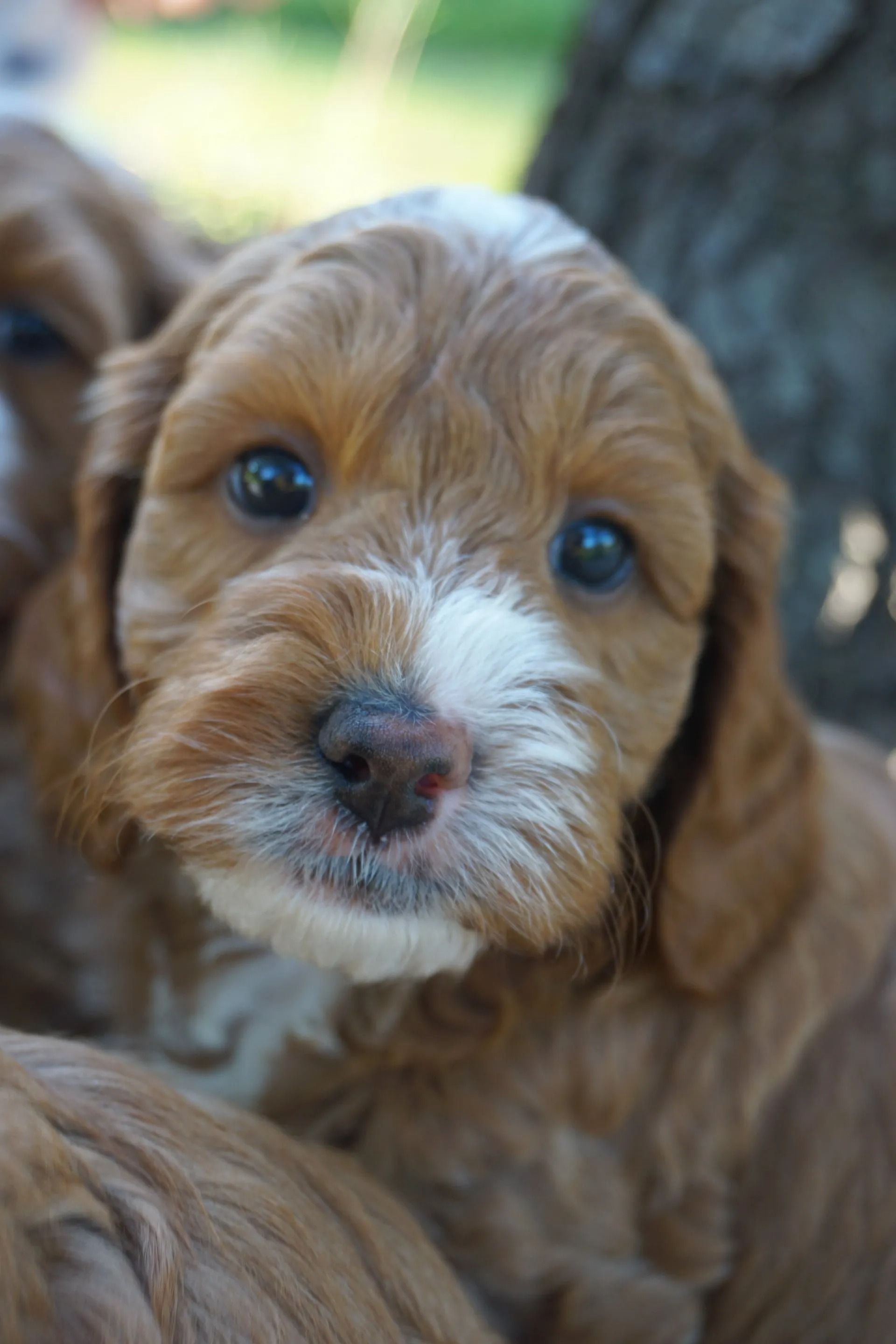 Sunny and Jaime 2020