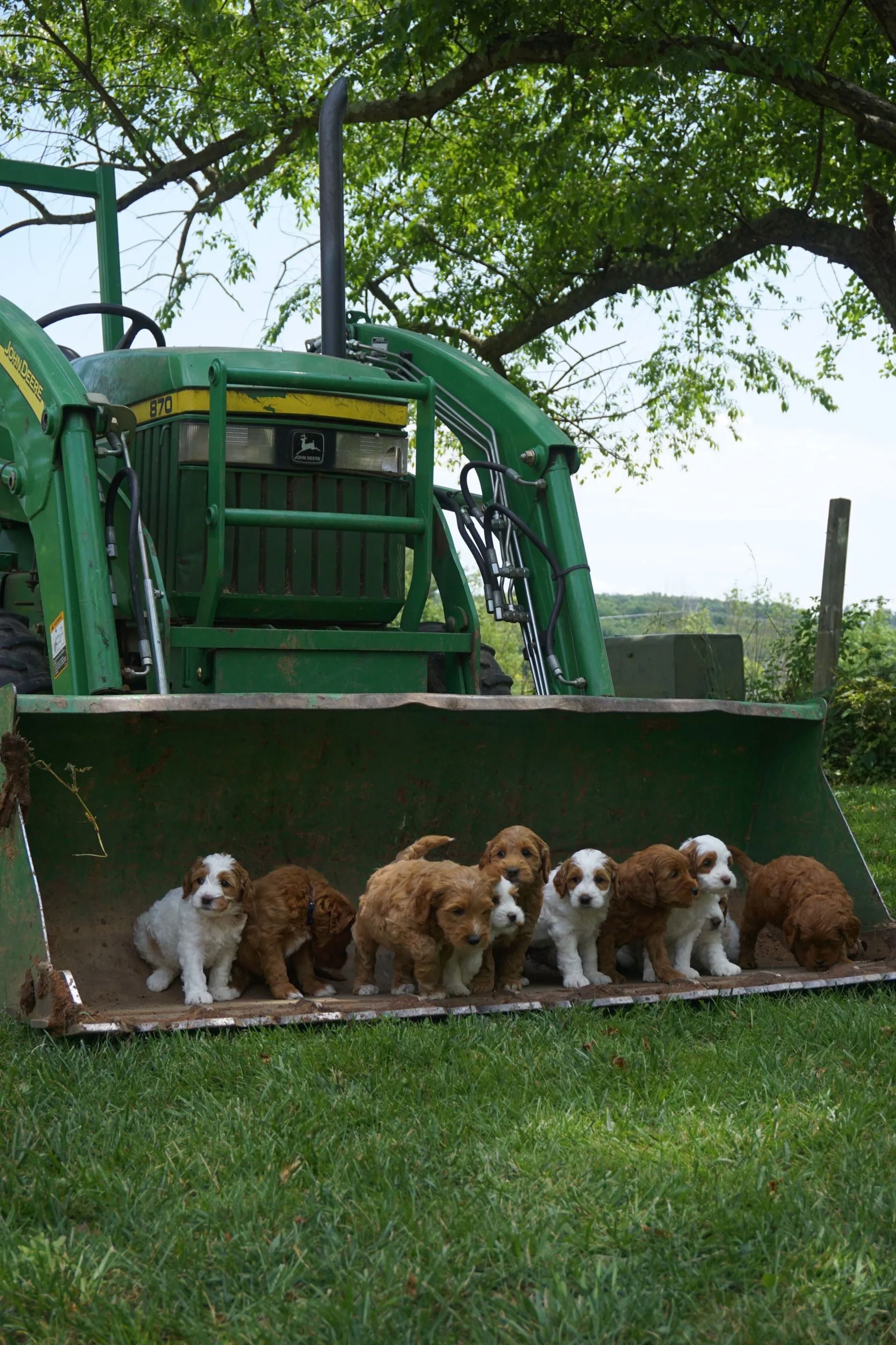 Callie and Jaime Frasier