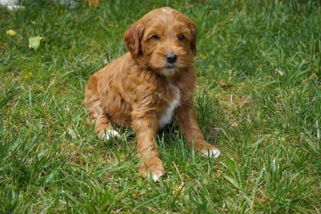 Callie and Jaime Frasier