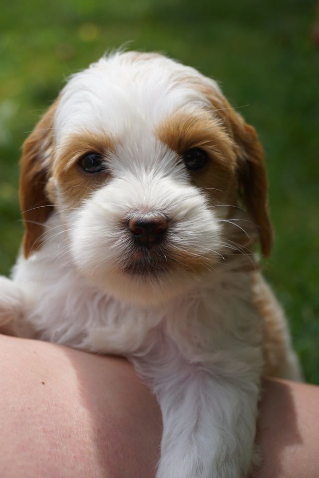 Callie and Jaime Frasier