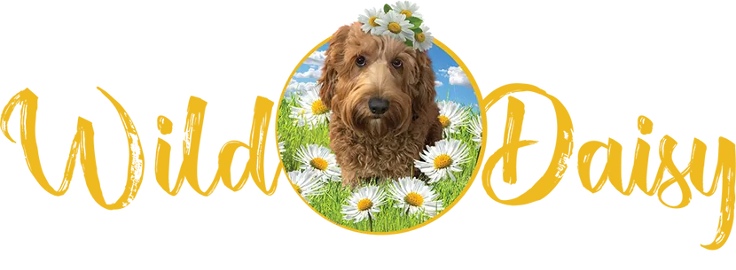 Wild Daisy Labradoodles Logo