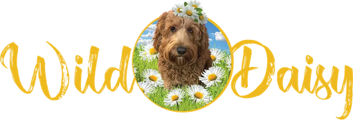 Wild Daisy Labradoodles Logo