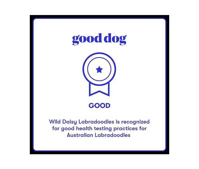 Good-dog-Logo