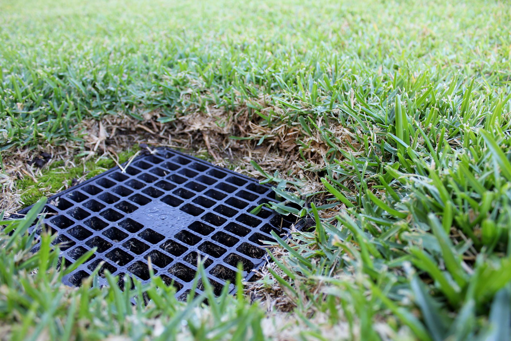 Black plastic grid drain cover recessed in green grass.