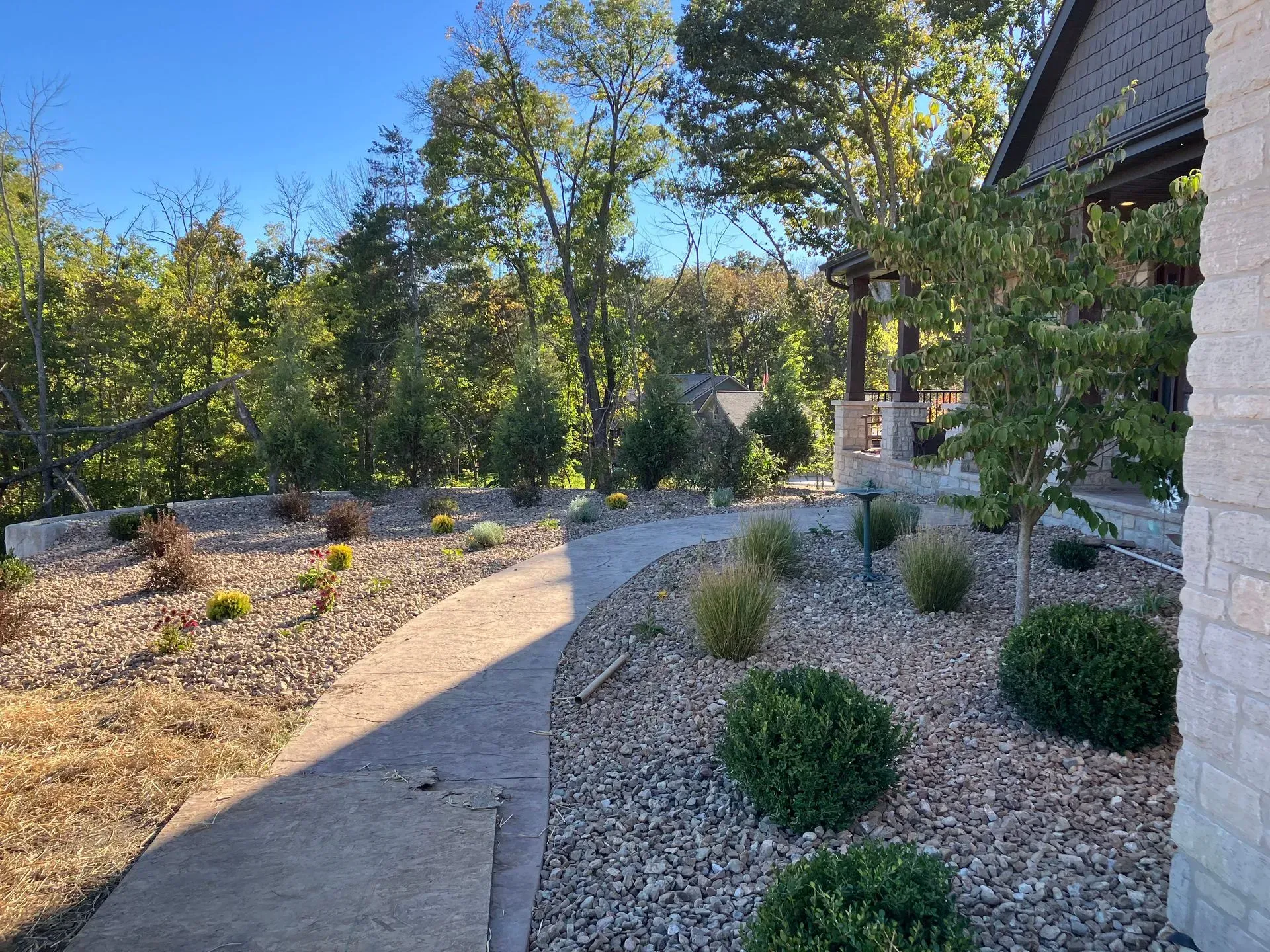 A curved concrete walkway through a landscaped yard with trees and shrubs on a sunny day.
