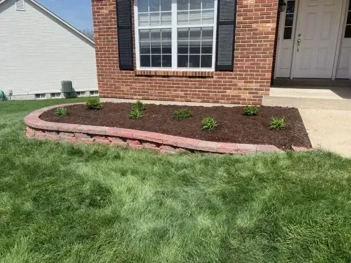 Curved red brick flower bed with mulch and new plants in front of a brick house. Green grass surrounds it.