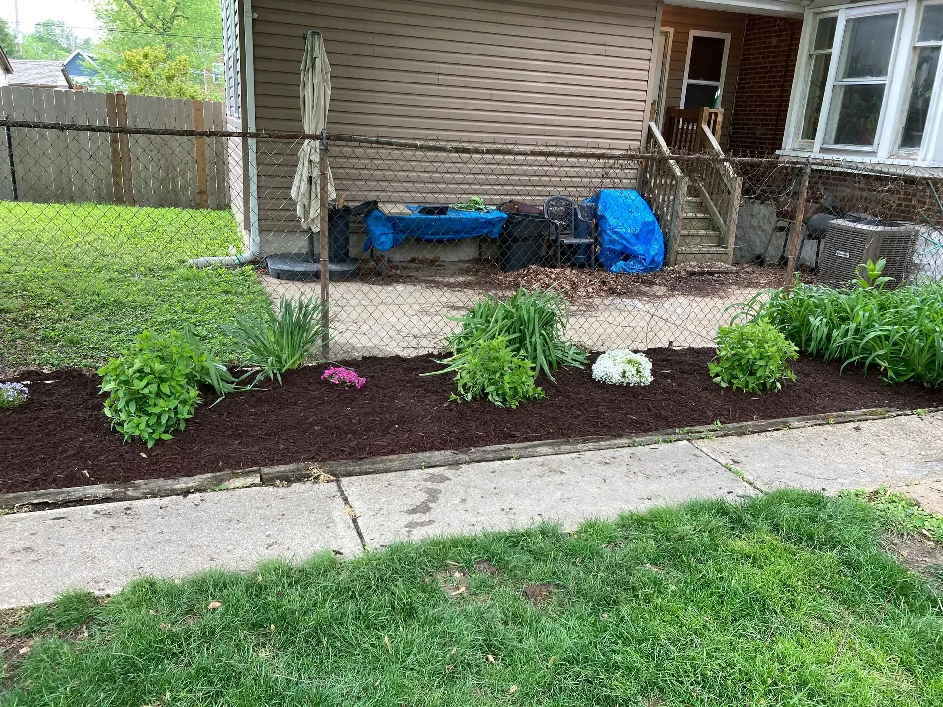 A landscaped front yard with mulch and plants, a sidewalk, and a house in the background.