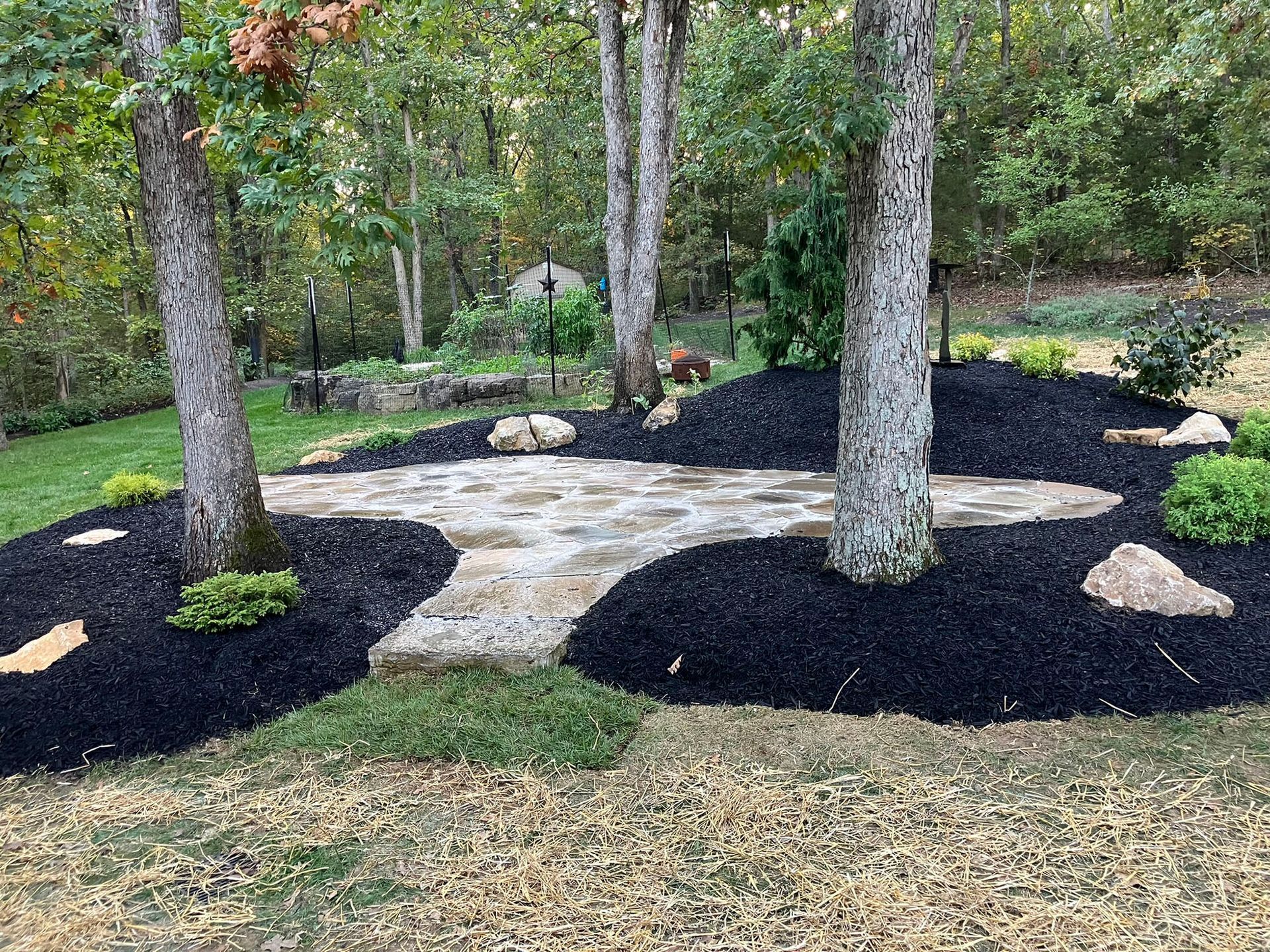 Stone patio area surrounded by trees, black mulch, and greenery.