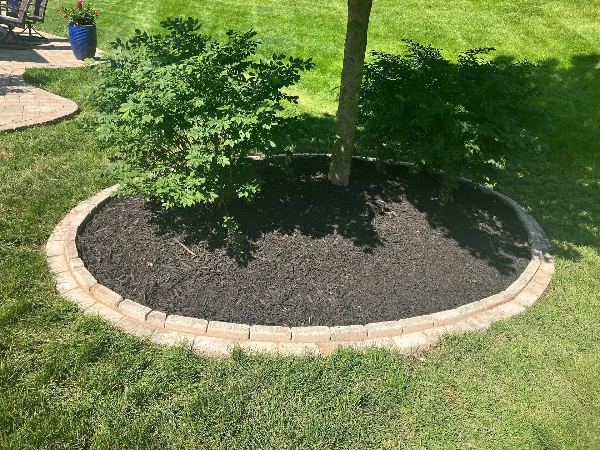 Circular mulch bed around a tree, bordered by beige bricks, on green grass.