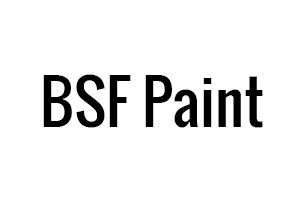 BSF Paint
