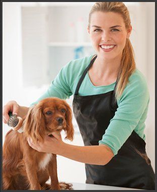 Employees | Emporia, KS | Top Dog Grooming Salon | 620-342-3647
