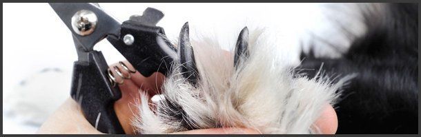 Products | Emporia, KS | Top Dog Grooming Salon | 620-342-3647