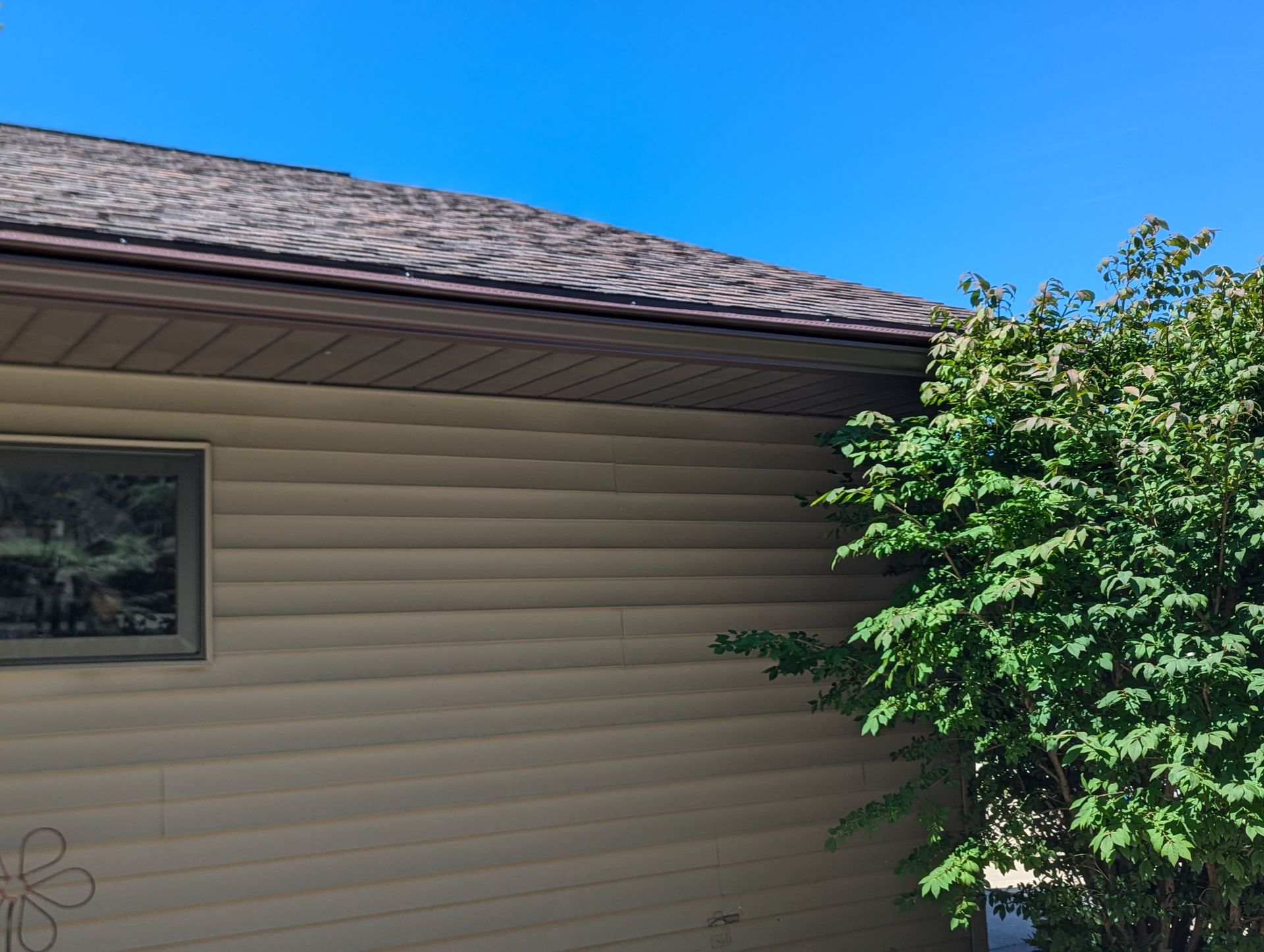 Tan siding and brown roofline of a house with a window and green bush on a sunny day.