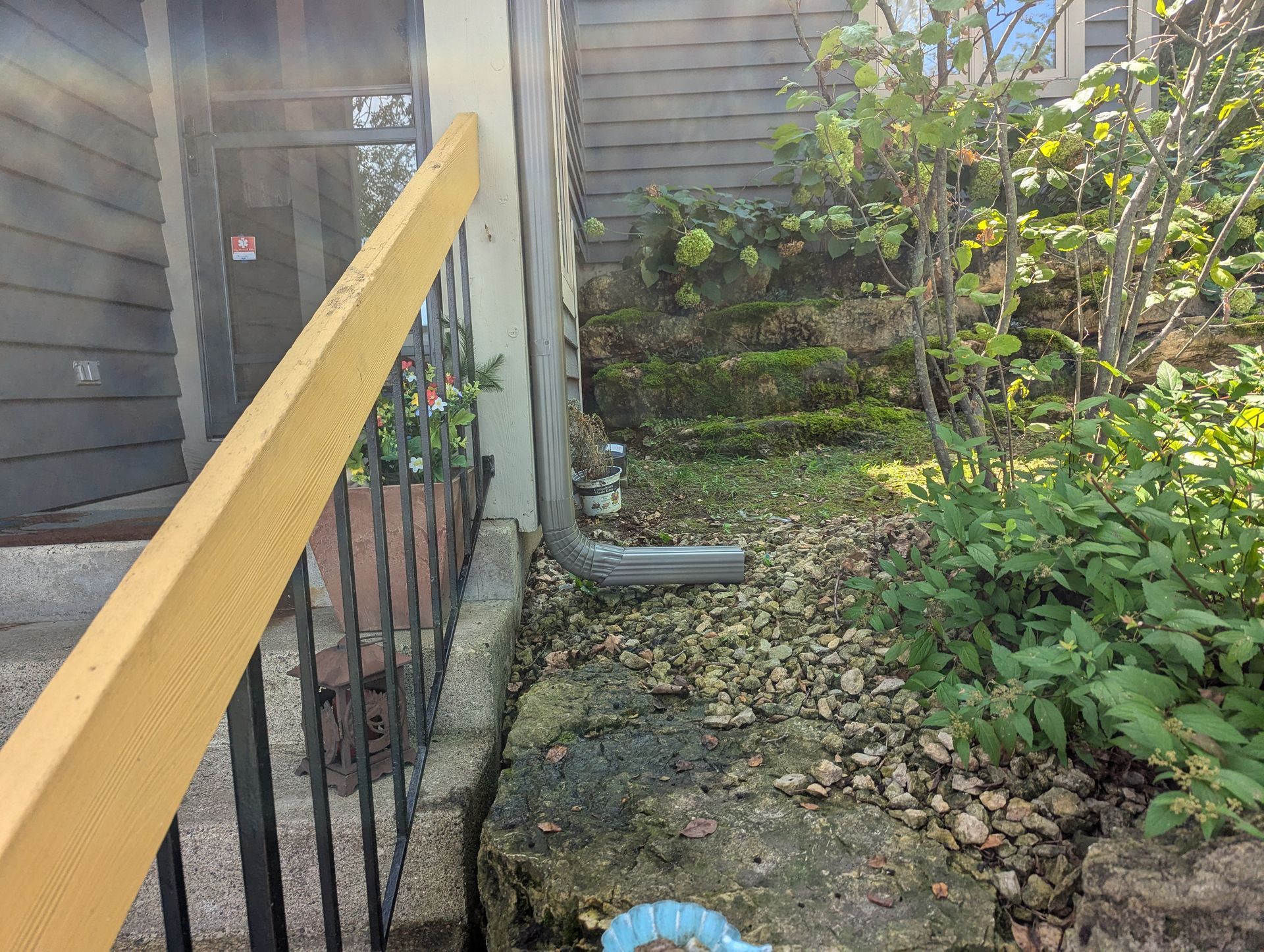 Exterior of a building with a handrail, gutter, and overgrown vegetation.