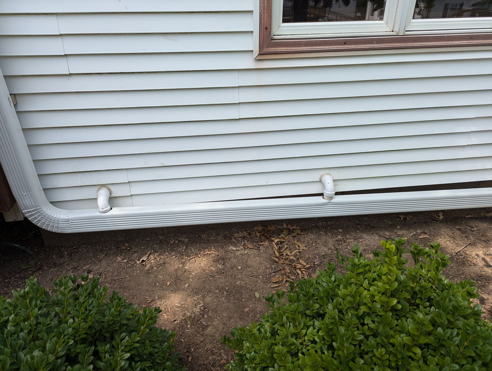 White house siding with a gutter and two downspouts near a window. Two green bushes are in front.