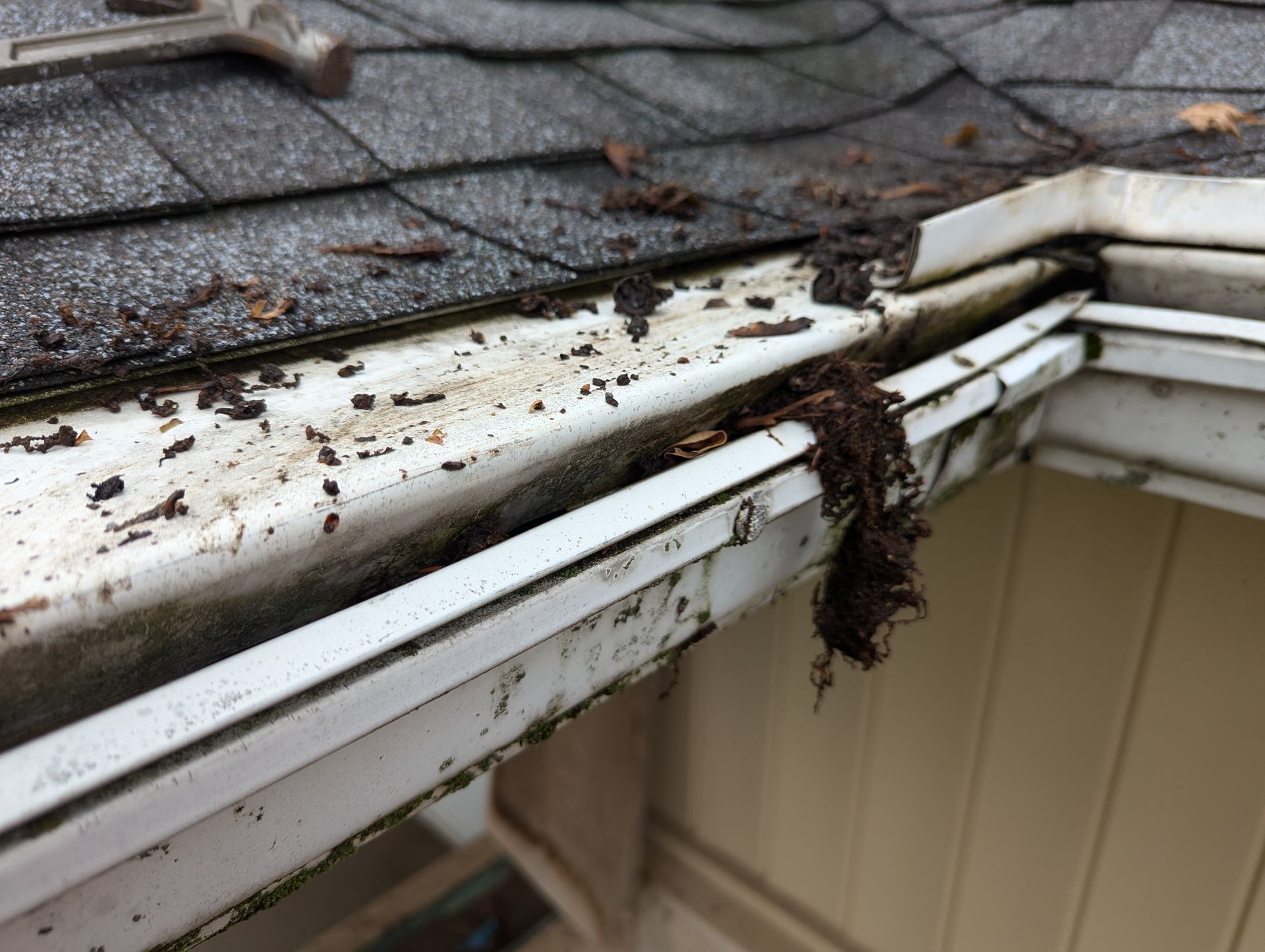 Clogged white rain gutter with dark debris, likely leaves, against gray roof shingles and tan siding.