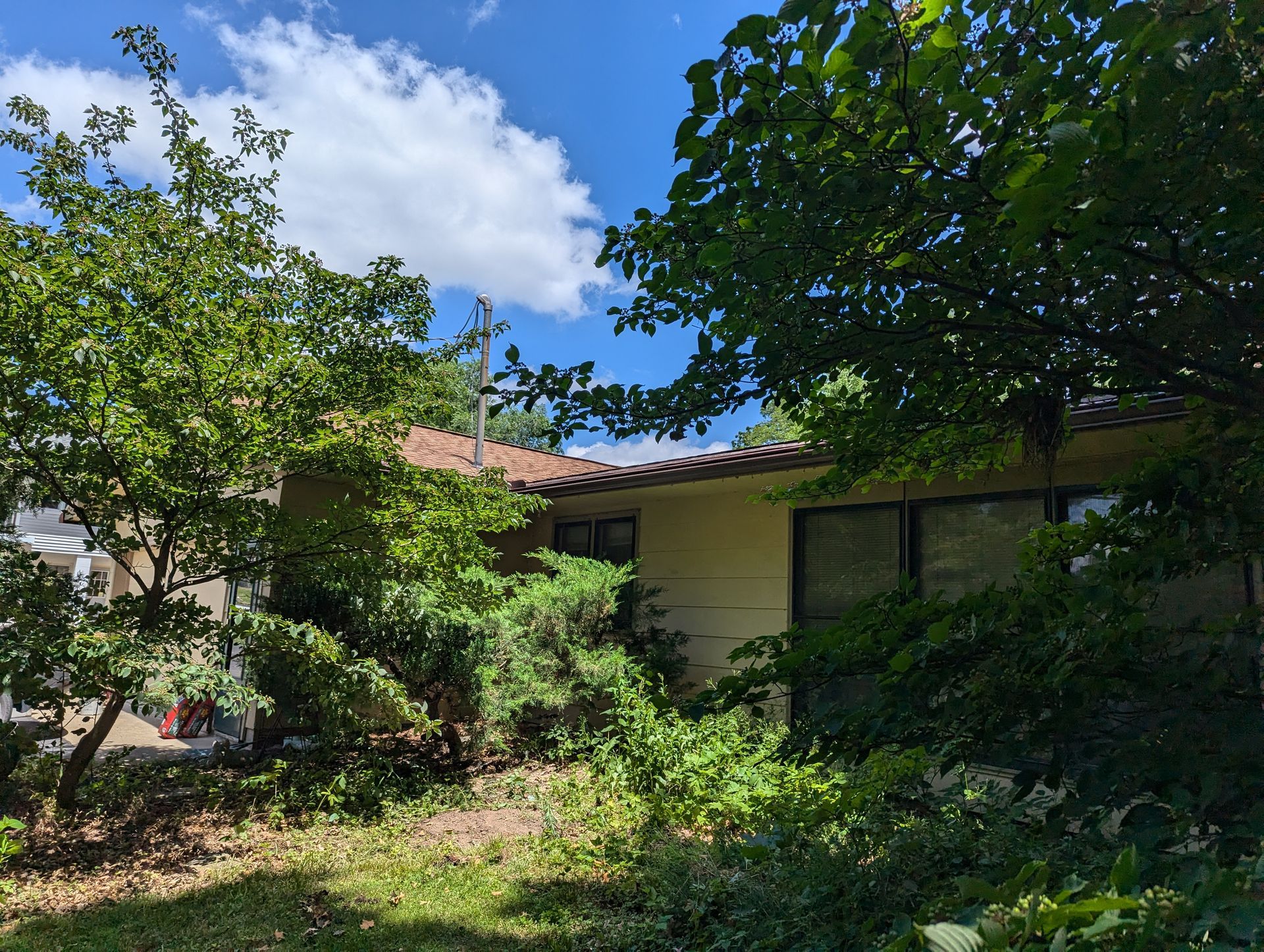 Beige house partially obscured by green trees and foliage, under a blue sky with fluffy clouds.