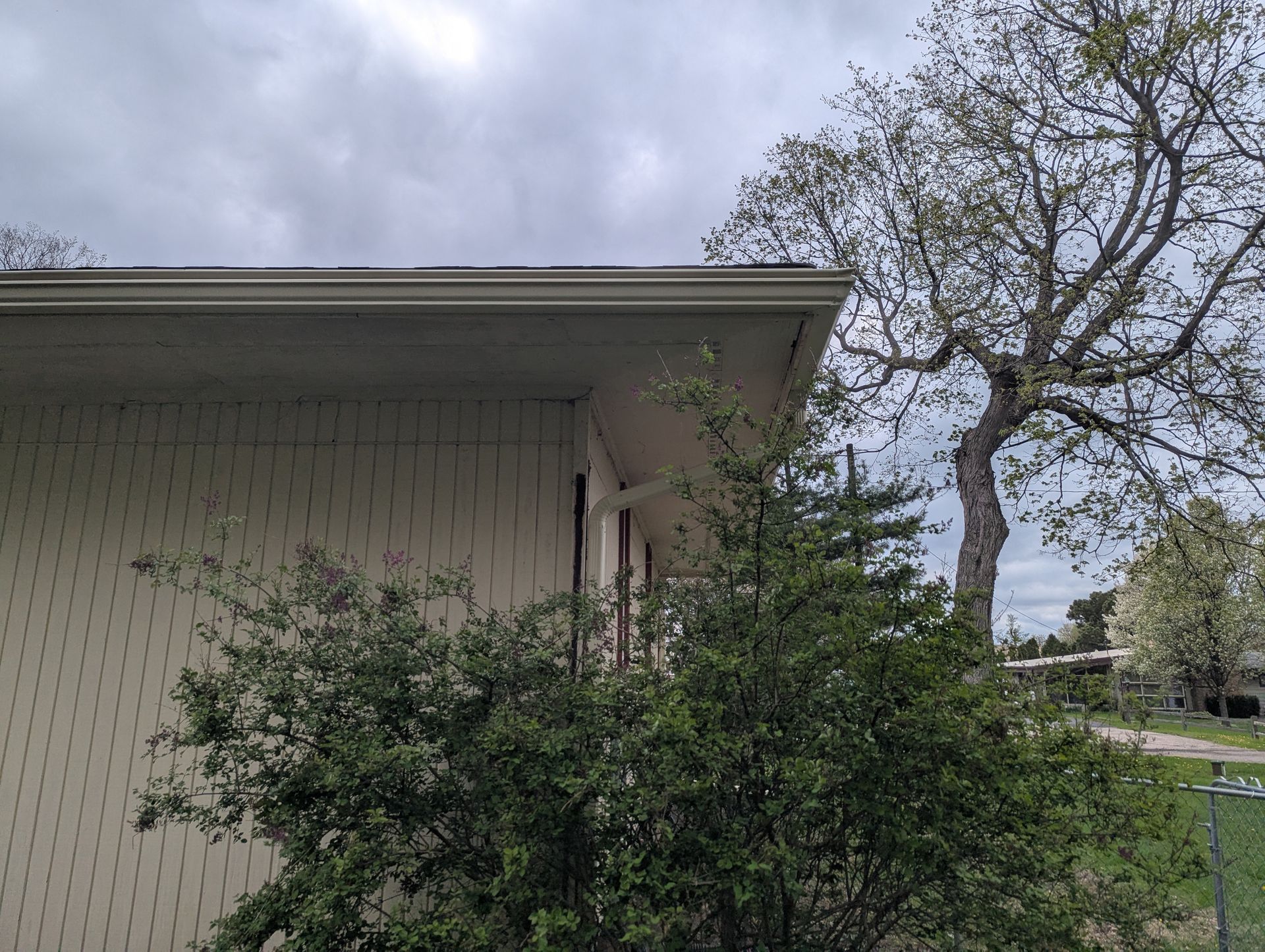Beige siding, white gutters, and a leafy green bush in front of a tree against a cloudy sky.