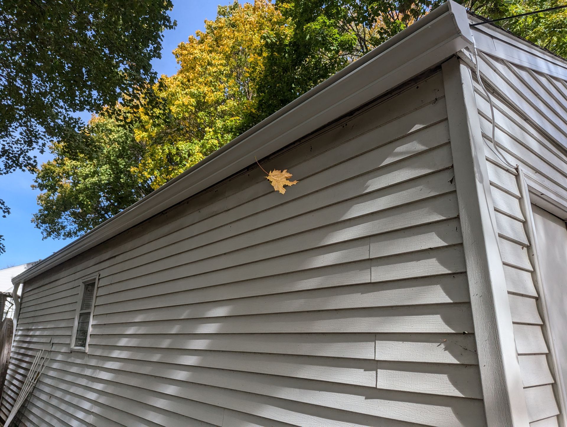 Gray-sided building with a light-colored leaf stuck to it, with trees and a blue sky in the background.
