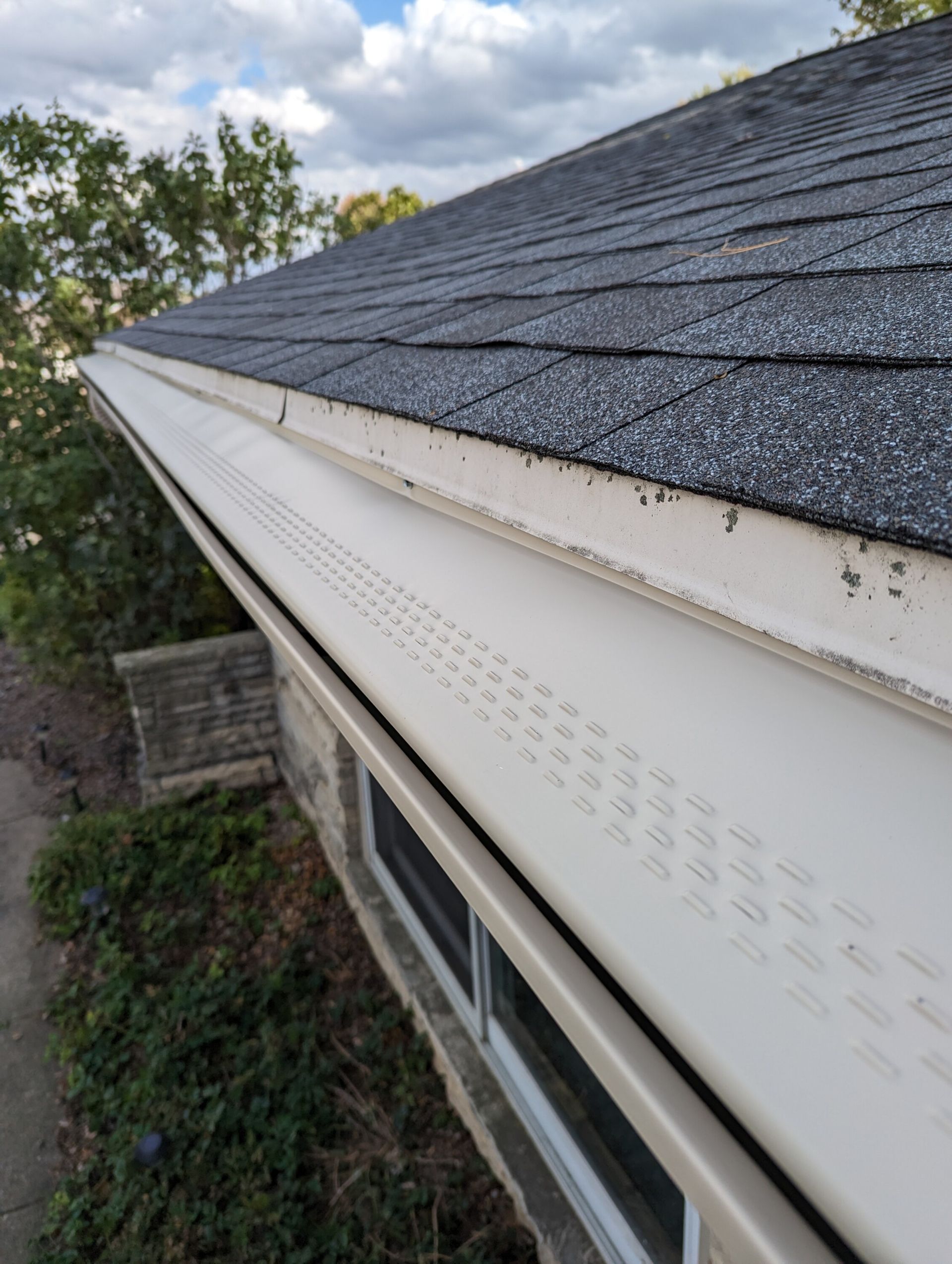 White gutter with leaf guard along a dark shingle roof, cloudy sky in background.