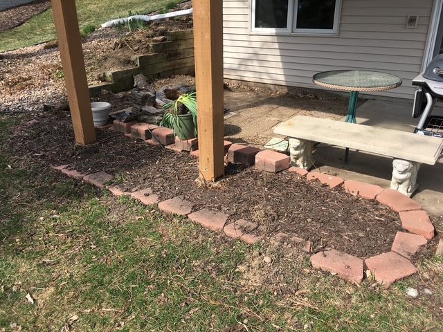 The backyard features a healthy, green lawn next to the house.