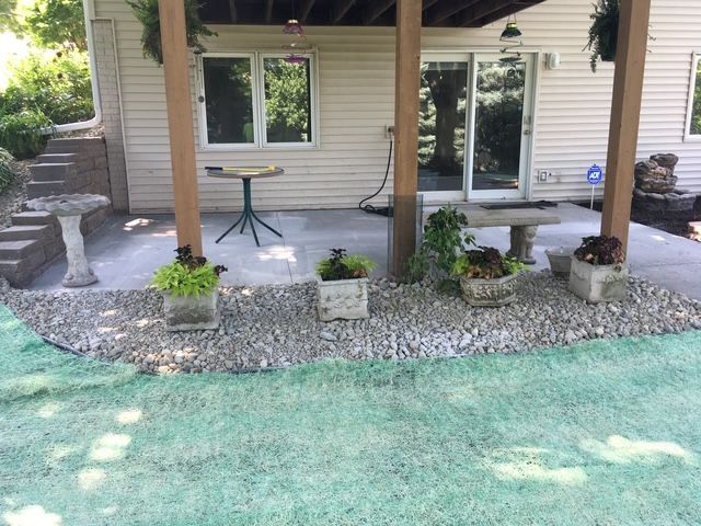 Bright green grass fills the yard near the house.