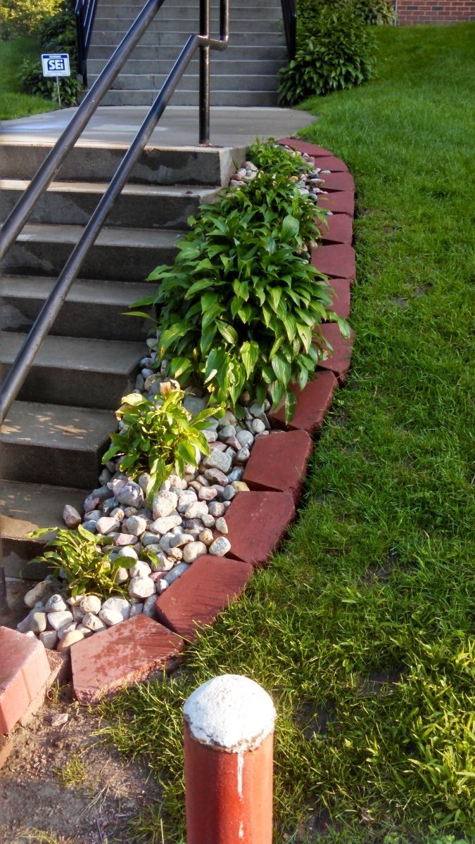 a staircase with a brick curb and plants in front of it