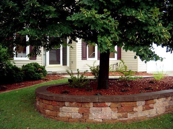 a tree in a brick planter in front of a house