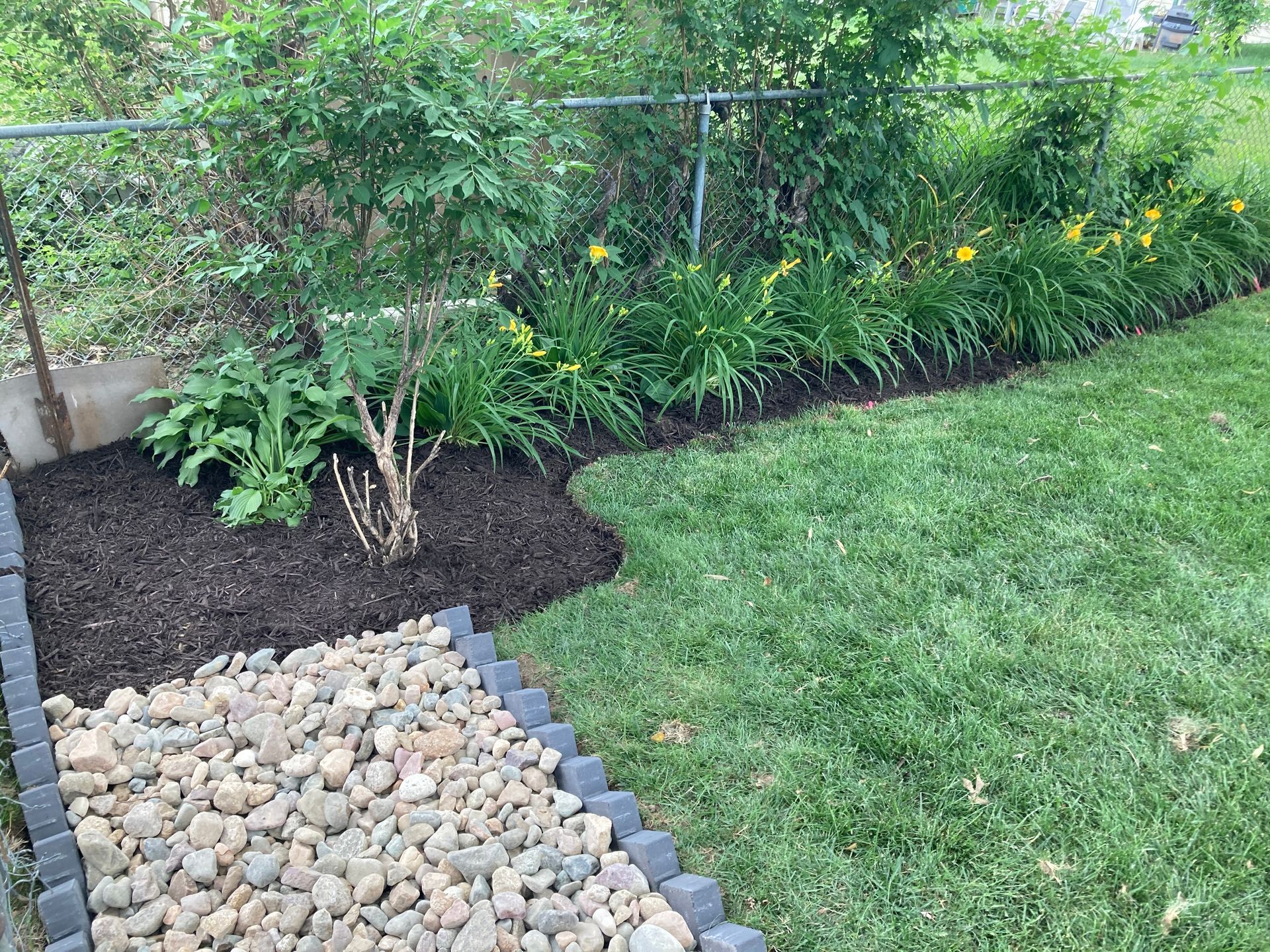 a lush green lawn with a stone walkway leading to a bush