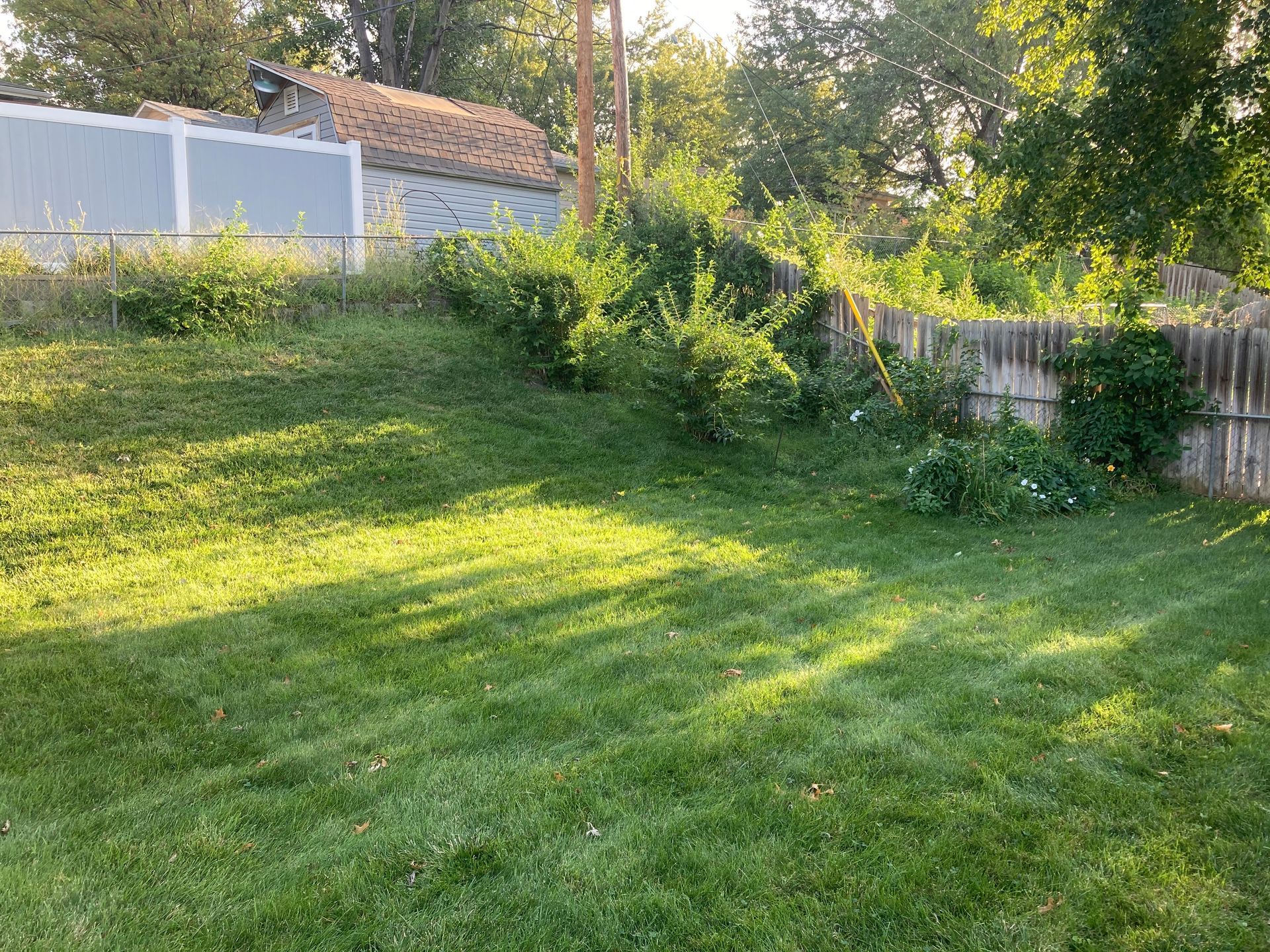 a lush green yard with a white fence and a house in the background