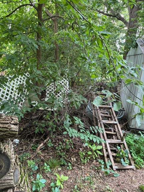 Backyard space and lush grass.