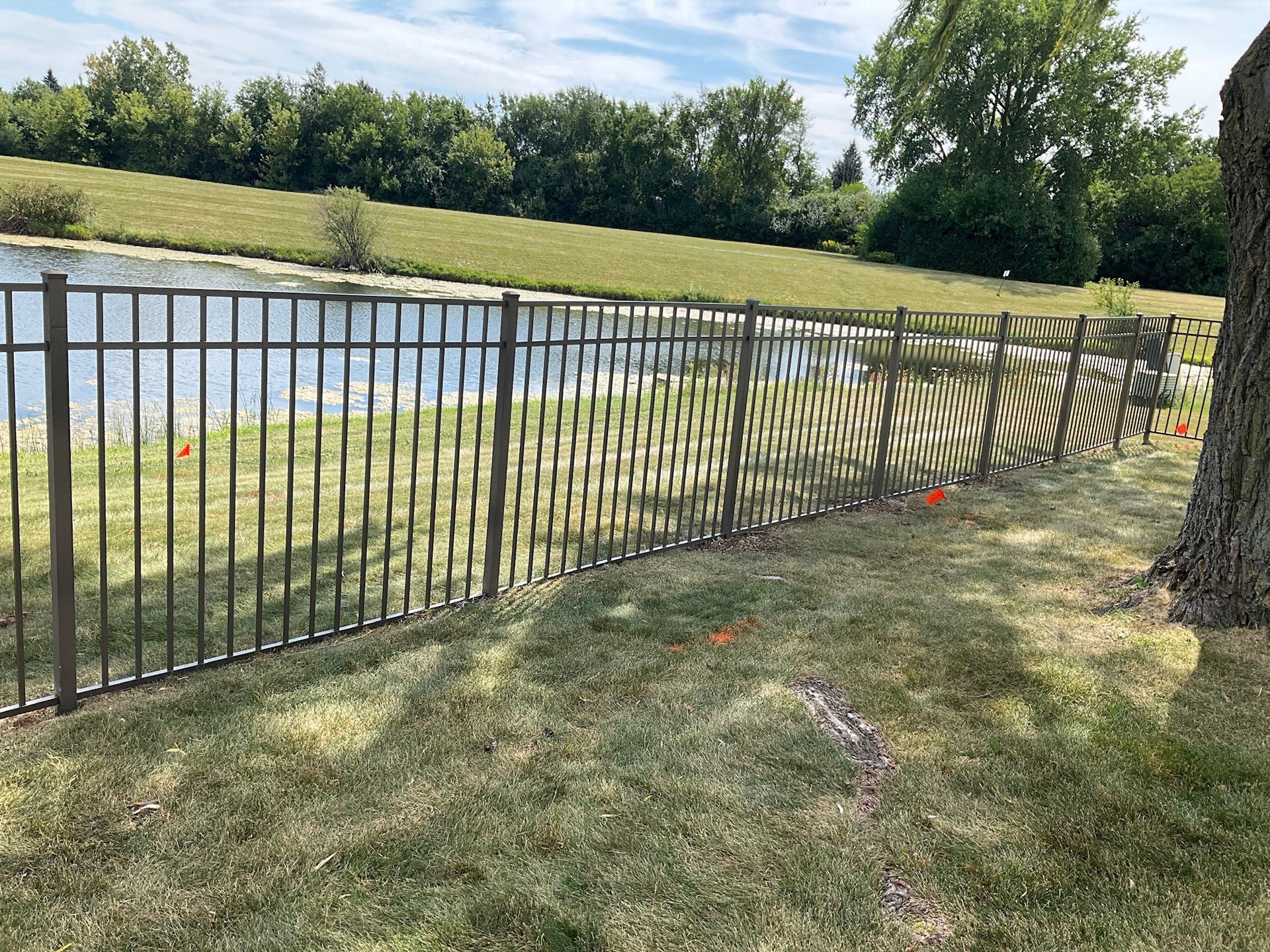 Black metal fence bordering a pond on a sunny day.
