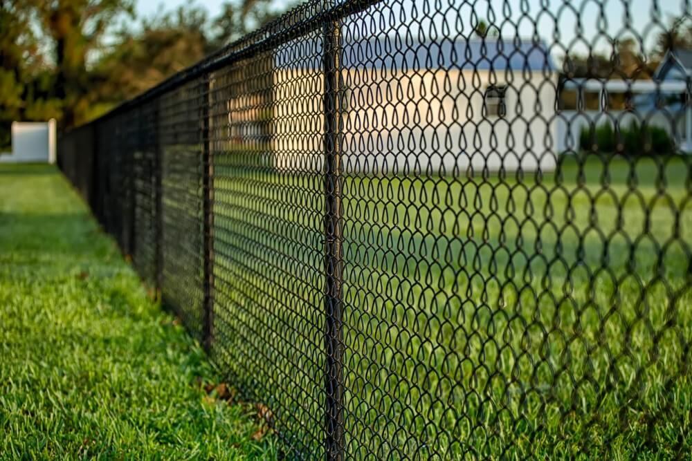 Black chain-link fence in a grassy yard, with a house visible in the background.