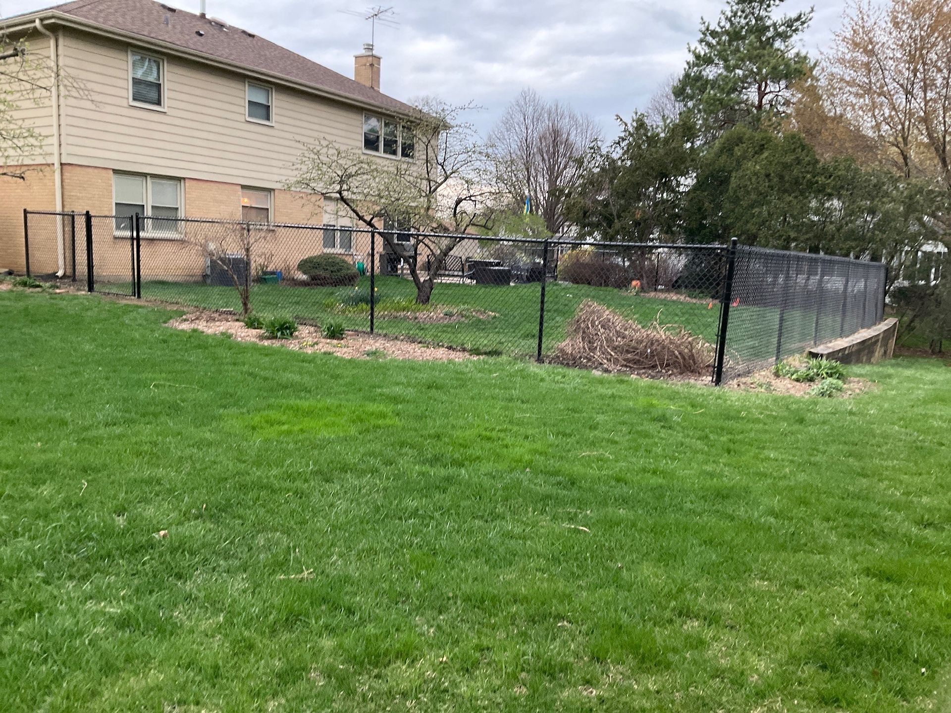 Backyard with black chain-link fence, green lawn, house, trees, and cloudy sky.
