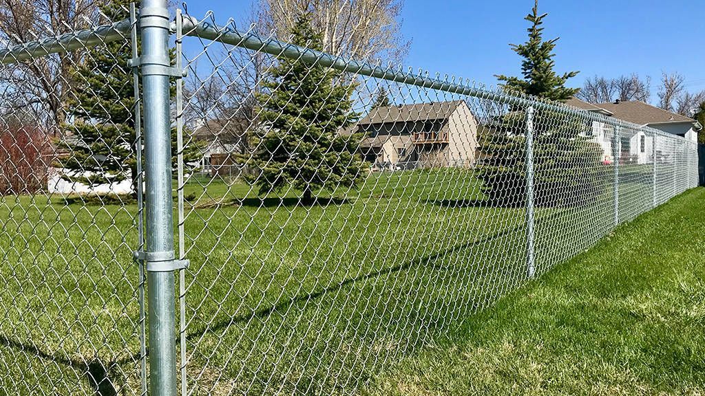 Chain-link fence in green grass, with trees and houses in the background.