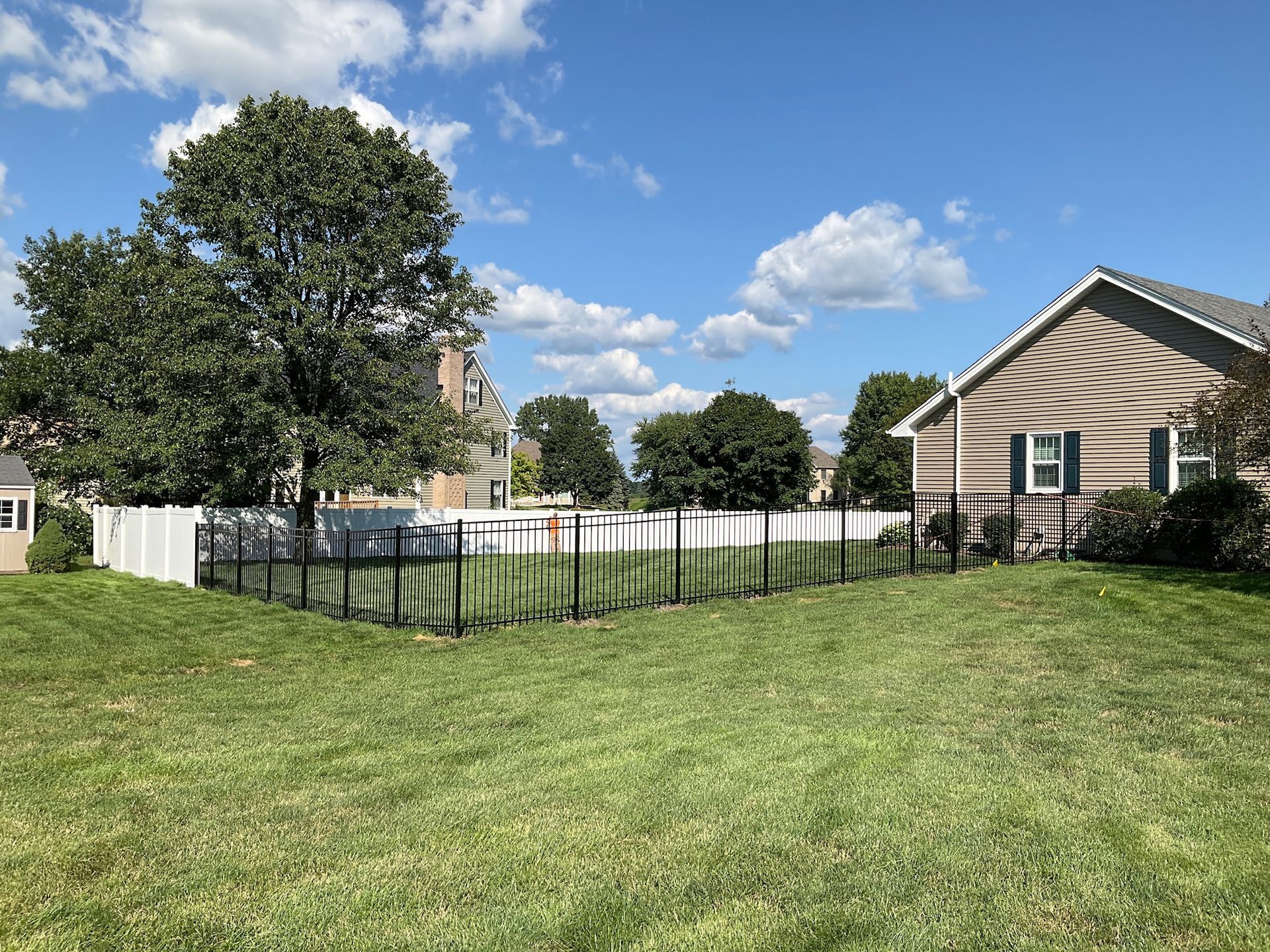 Grassy backyard with black fence, white fence, tree, and house under a blue sky with clouds.