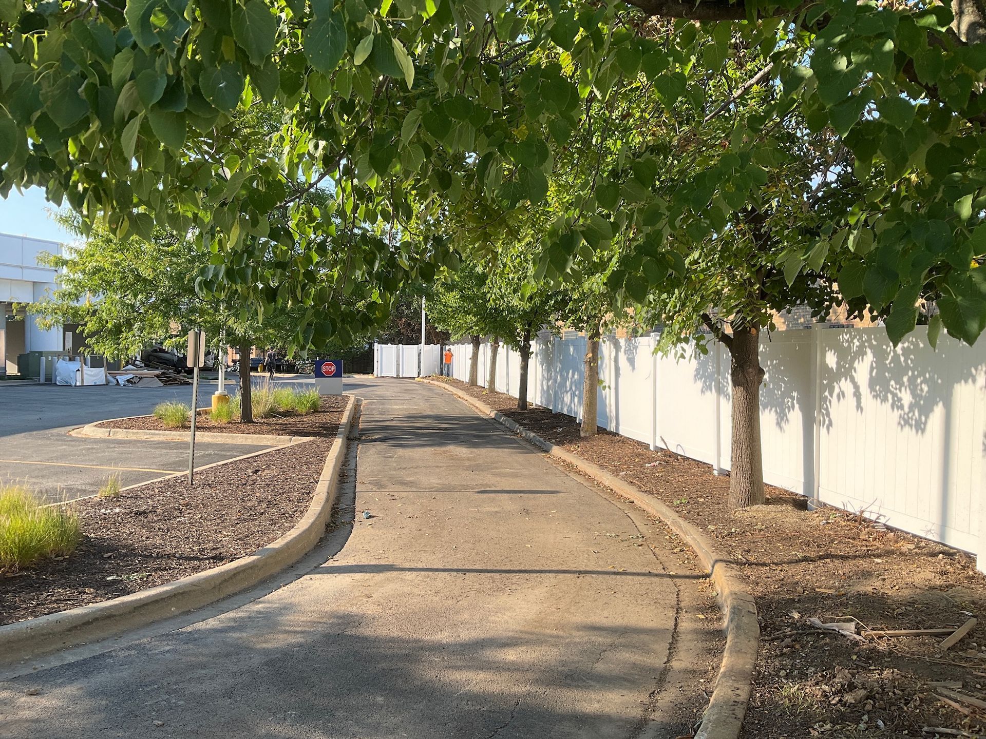 Path lined with trees and a white fence. Brown mulch borders the path.