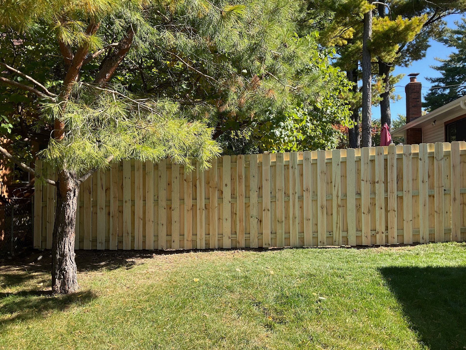 Wooden fence in backyard with green grass and trees.