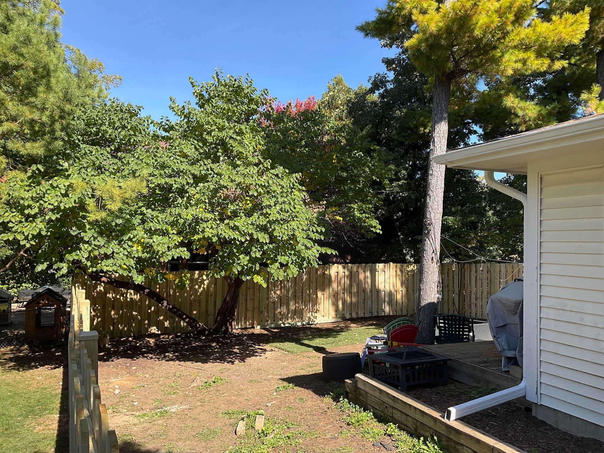 Backyard with wooden fence and trees, sunny day. White house siding on the right.