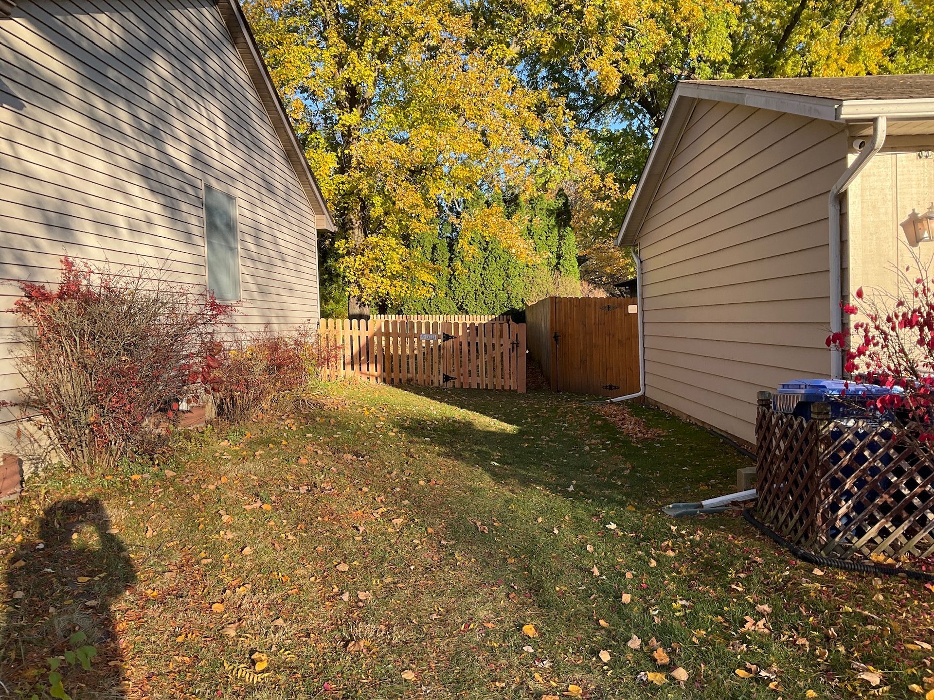Backyard with grass, a fence, and two buildings. Autumn leaves.