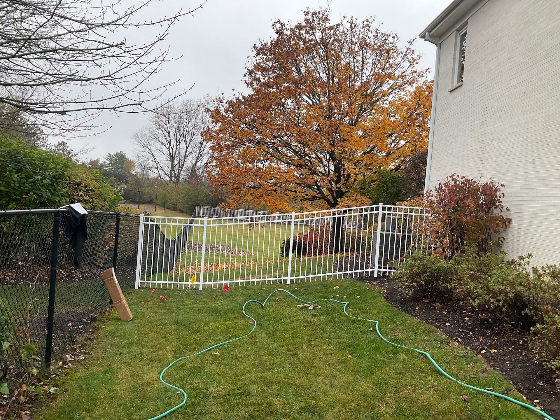 Backyard with a white fence, green grass, and a colorful autumn tree.