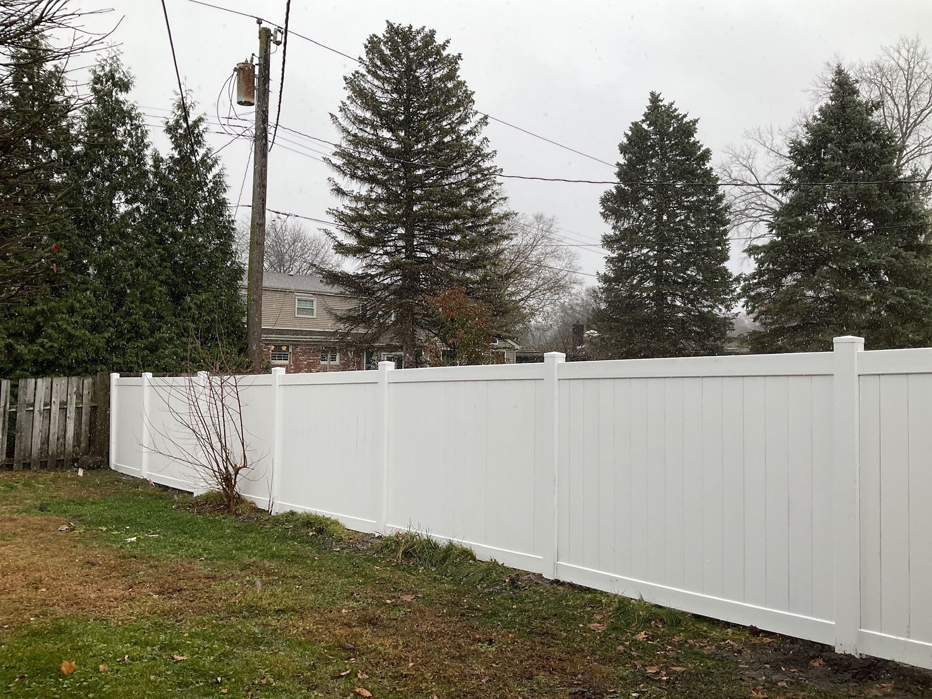 White vinyl fence in a backyard with evergreens and a power pole. It's lightly snowing.