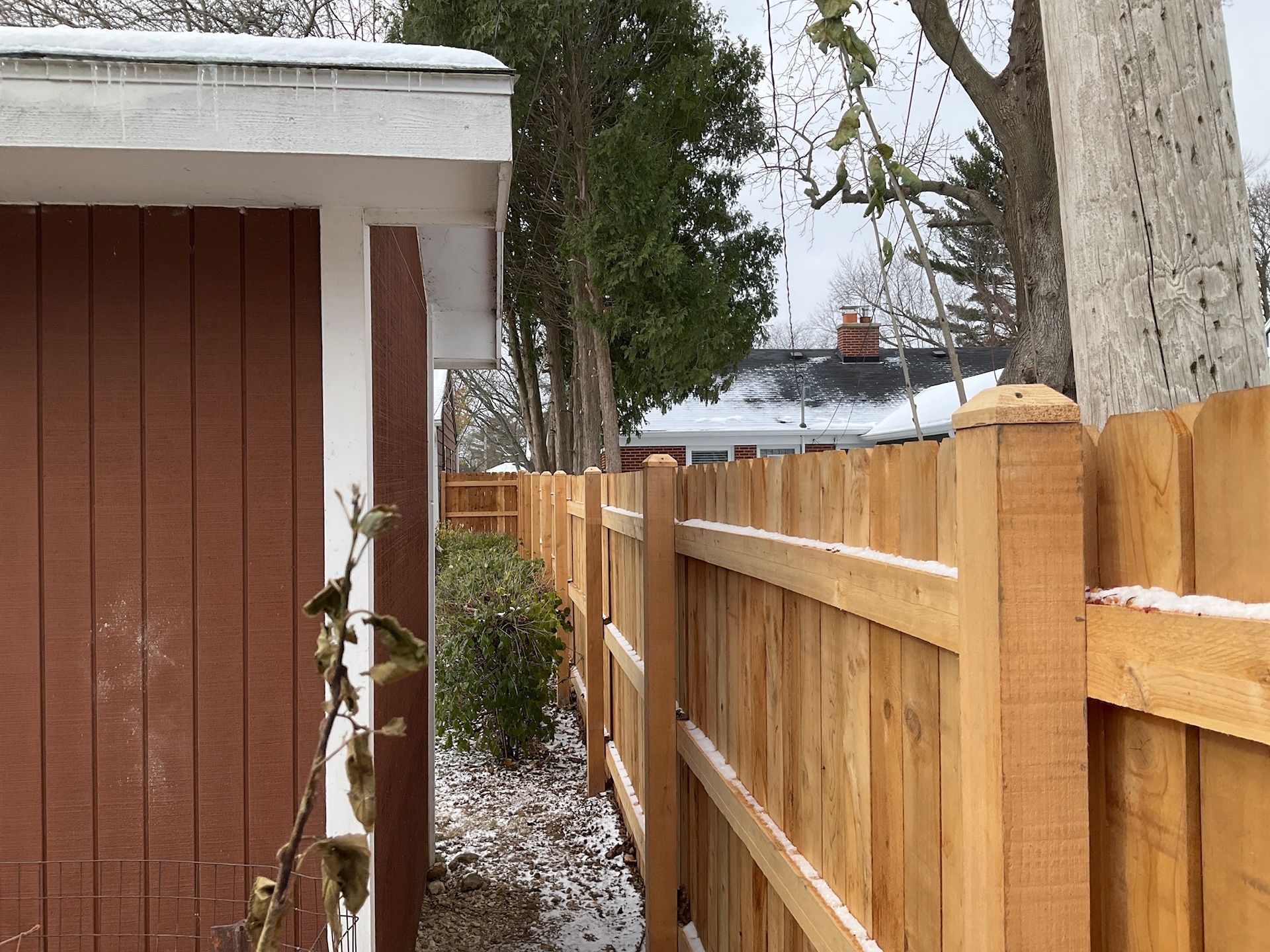 Wooden fence in a snowy yard, next to a brown shed and trees.